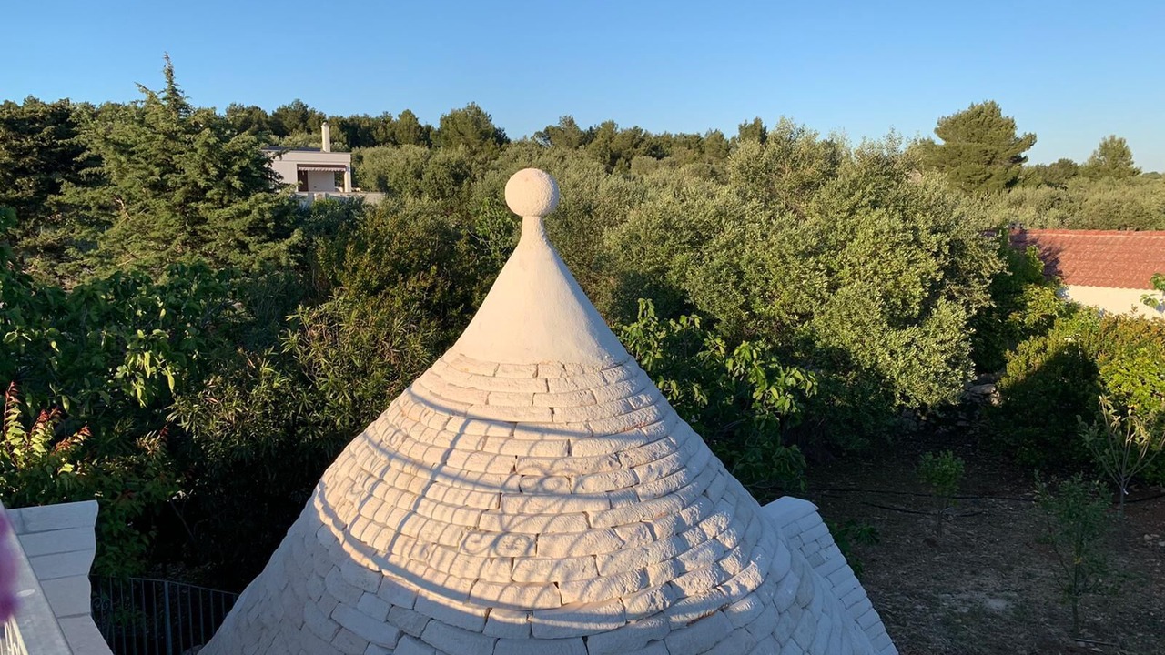 Photo of Others in Cisternino