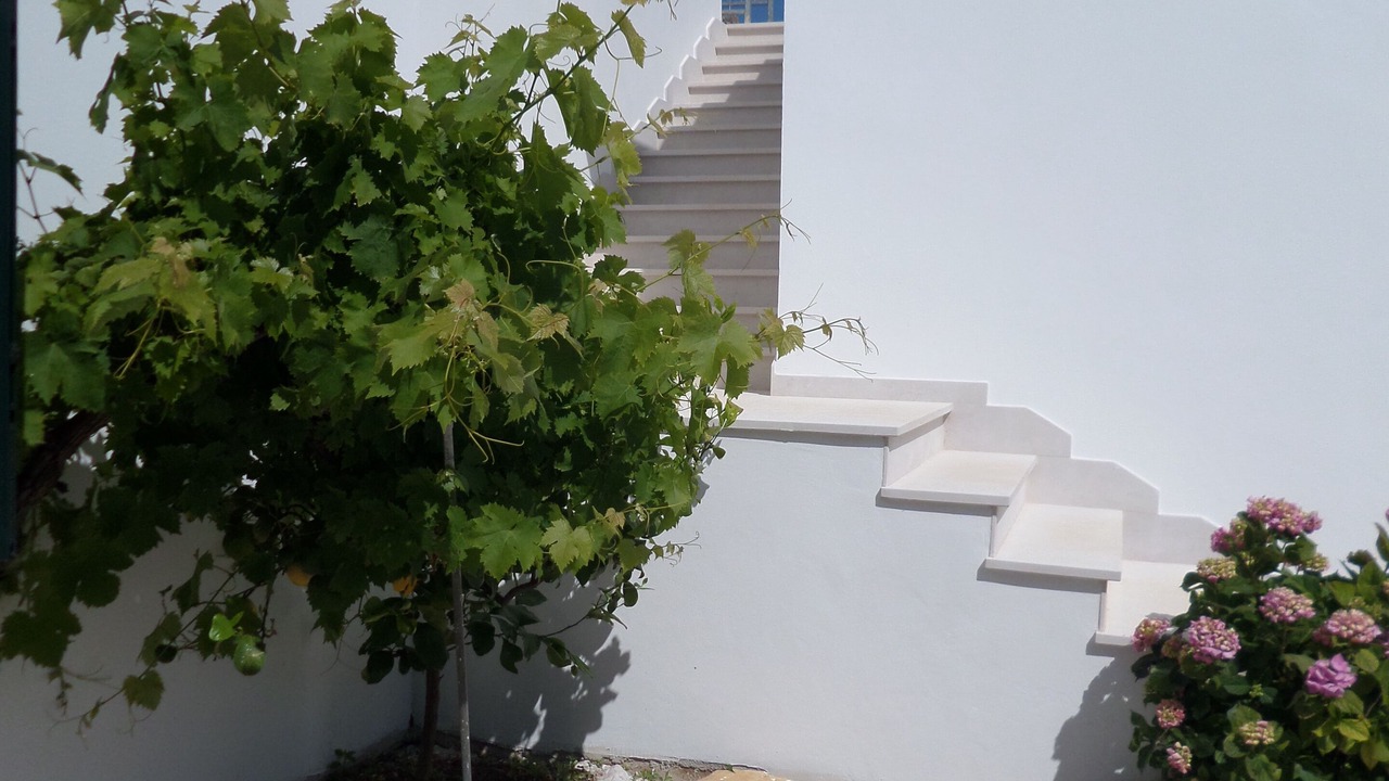 Photo of Others in Cisternino