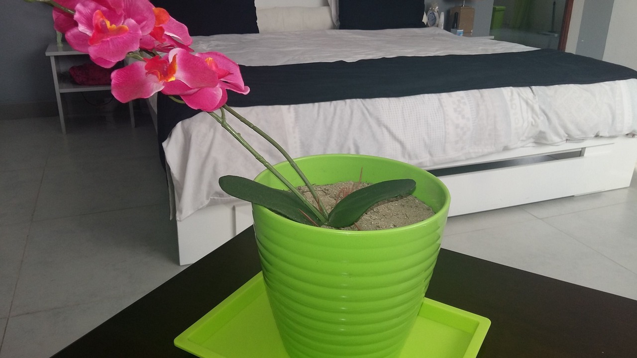 Photo of Bedroom in Mahavelona