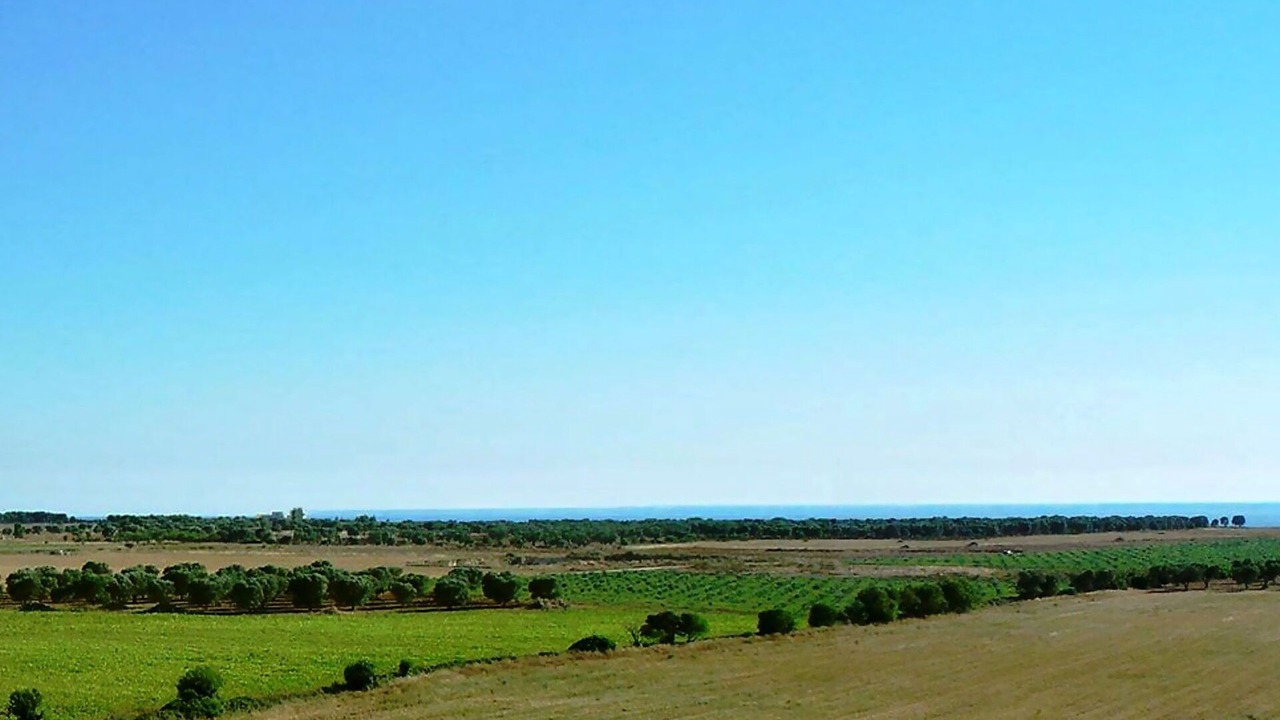 Photo of Others in Nardo