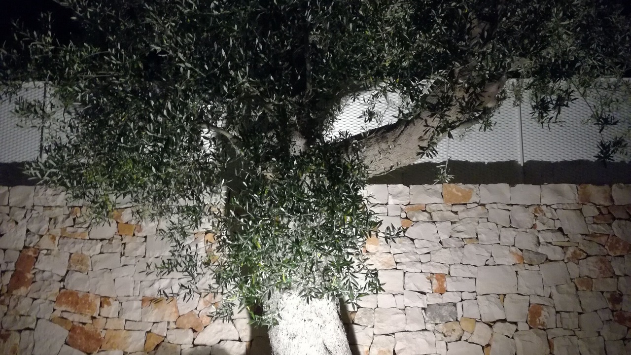 Photo of Outdoor in Polignano a Mare