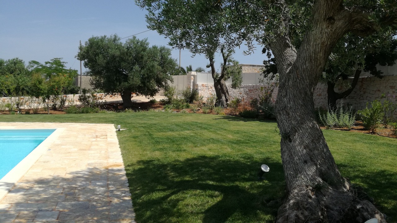 Photo of Outdoor in Polignano a Mare