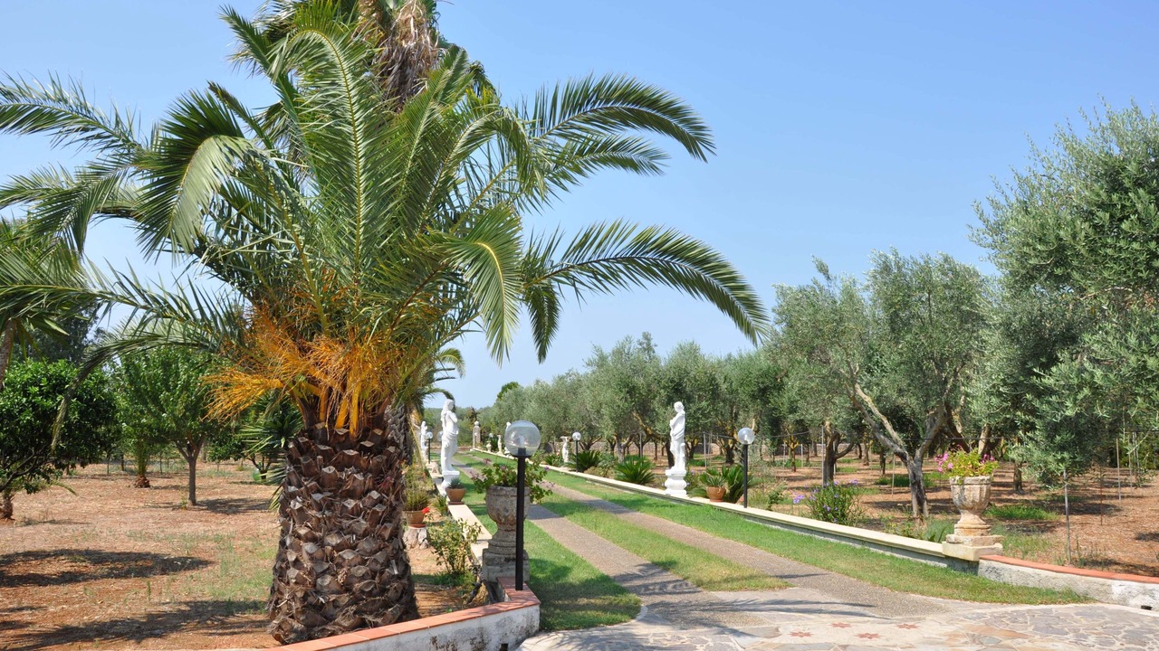 Photo of Outdoor in Alezio