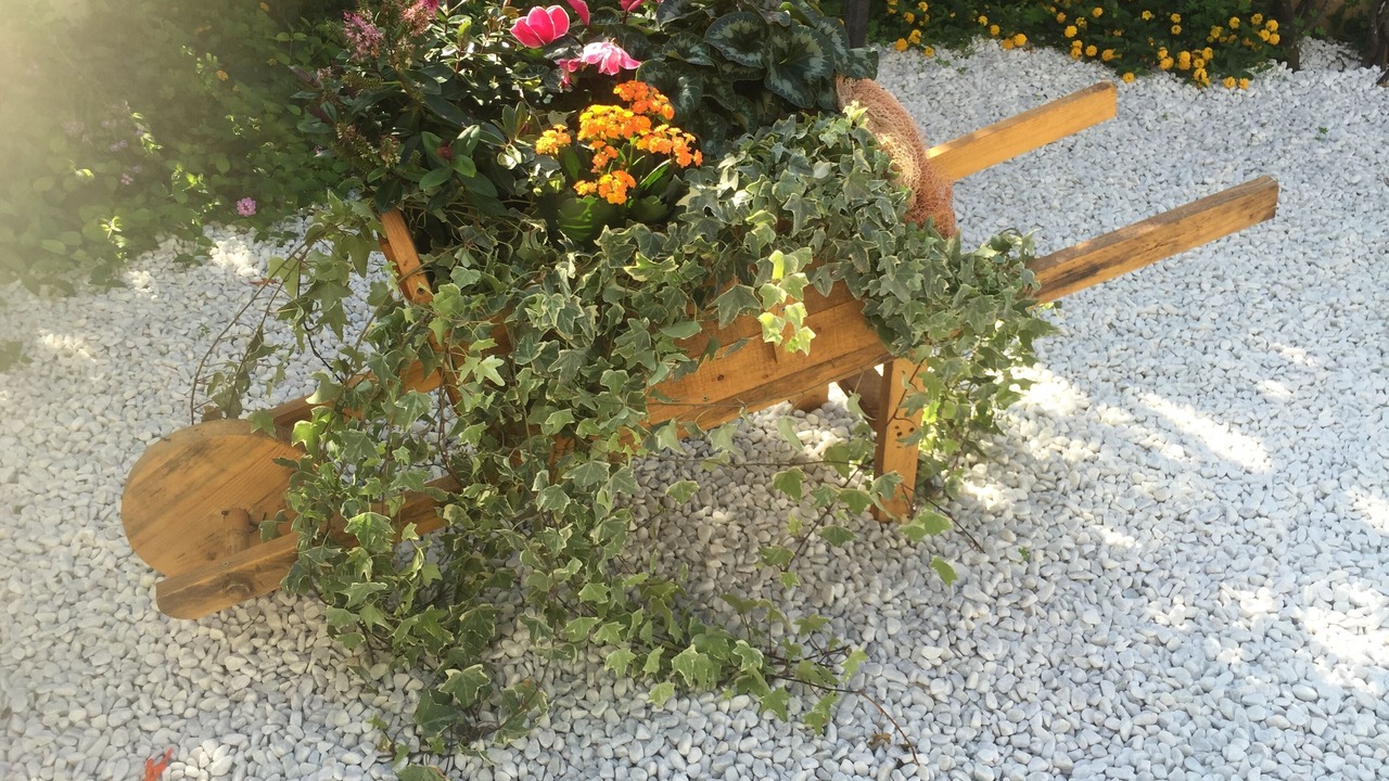 Photo of Outdoor in Giovinazzo