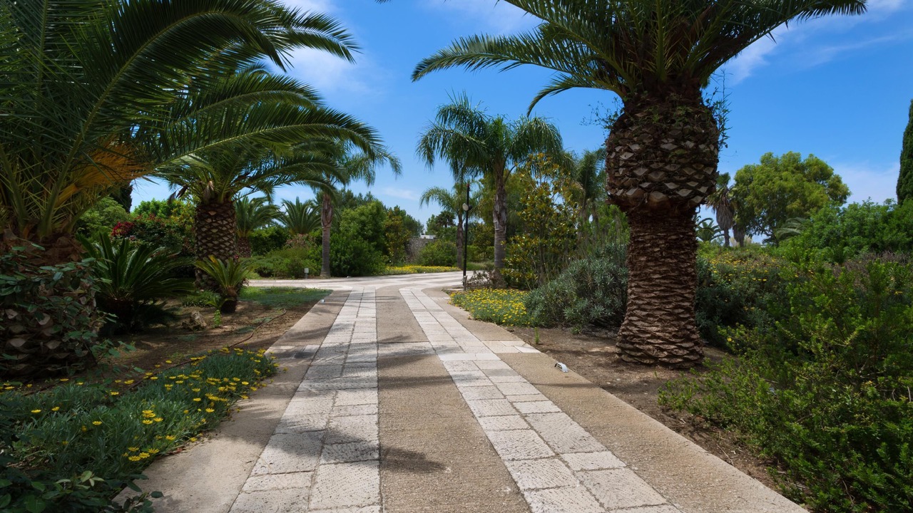 Photo of Outdoor in Parati