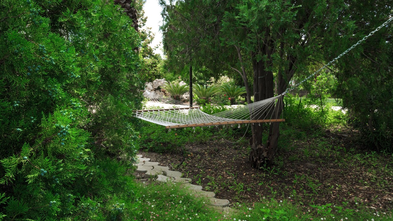 Photo of Outdoor in Parati