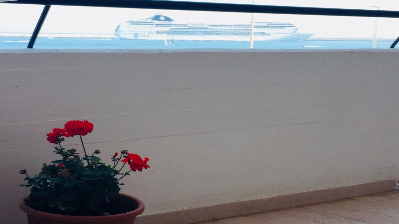 Photo of Outdoor in Municipio 3