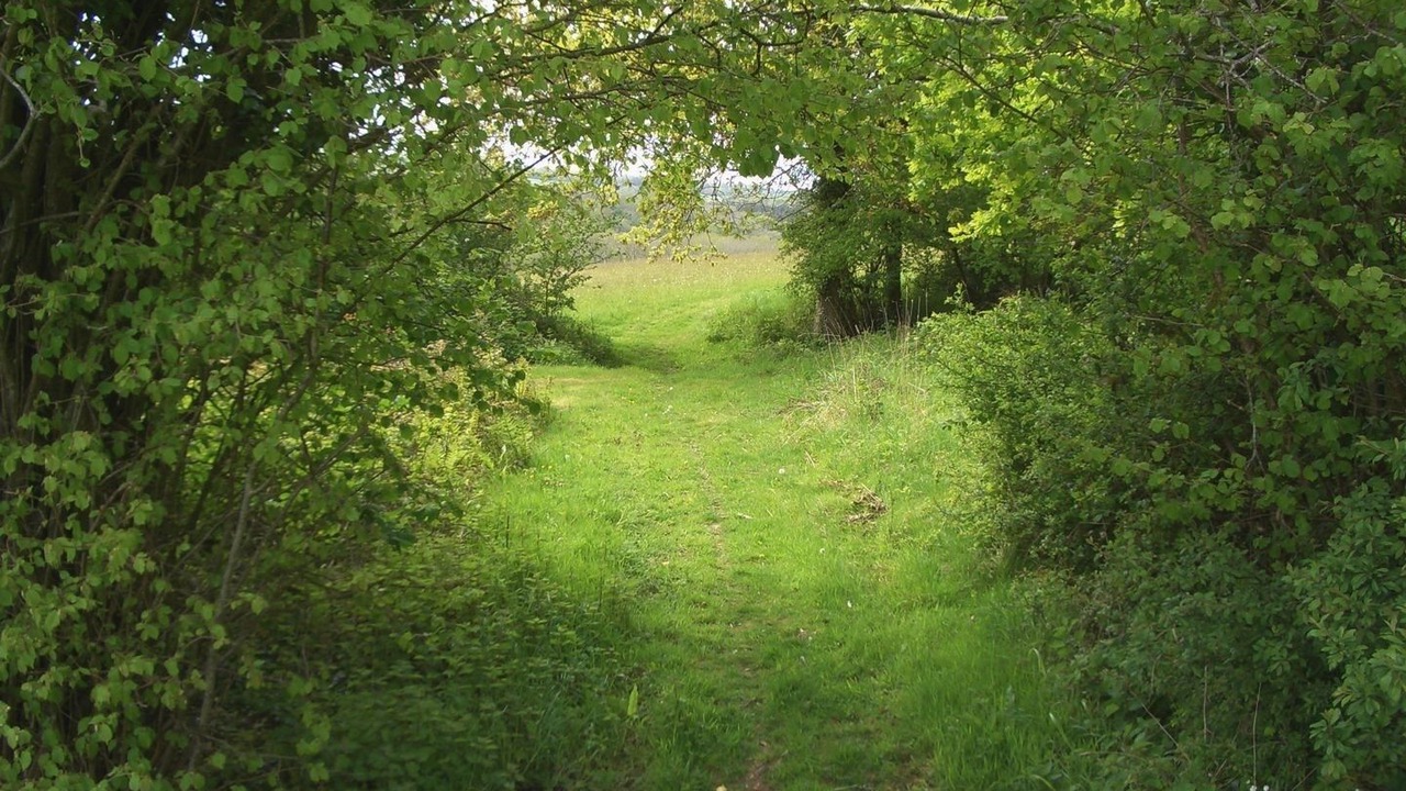Photo of Outdoor in Wilmington