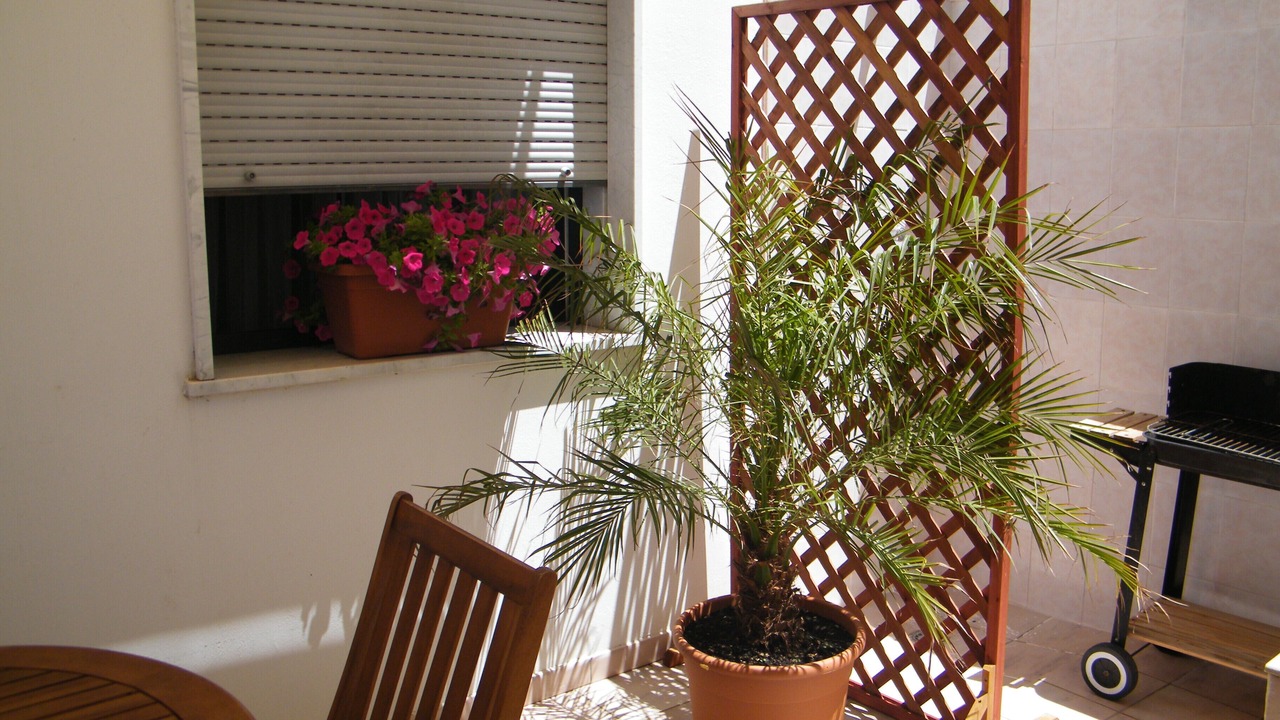 Photo of Patio Balcony in Marina San Gregorio
