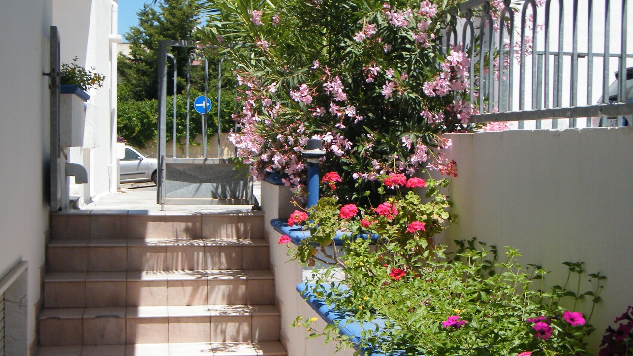 Photo of Outdoor in Marina San Gregorio