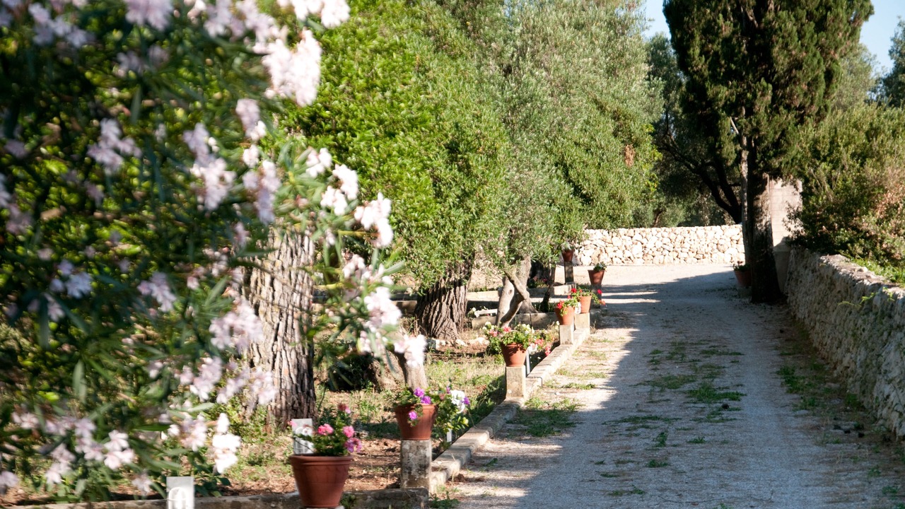 Photo of Outdoor in Martano