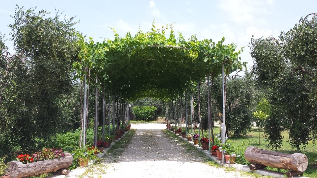 Photo of Outdoor in Peschici