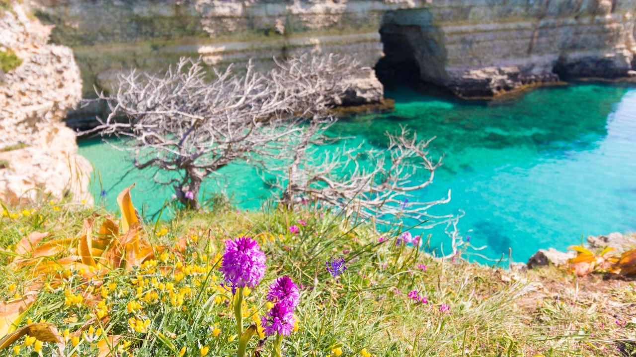 Photo of Others in Otranto