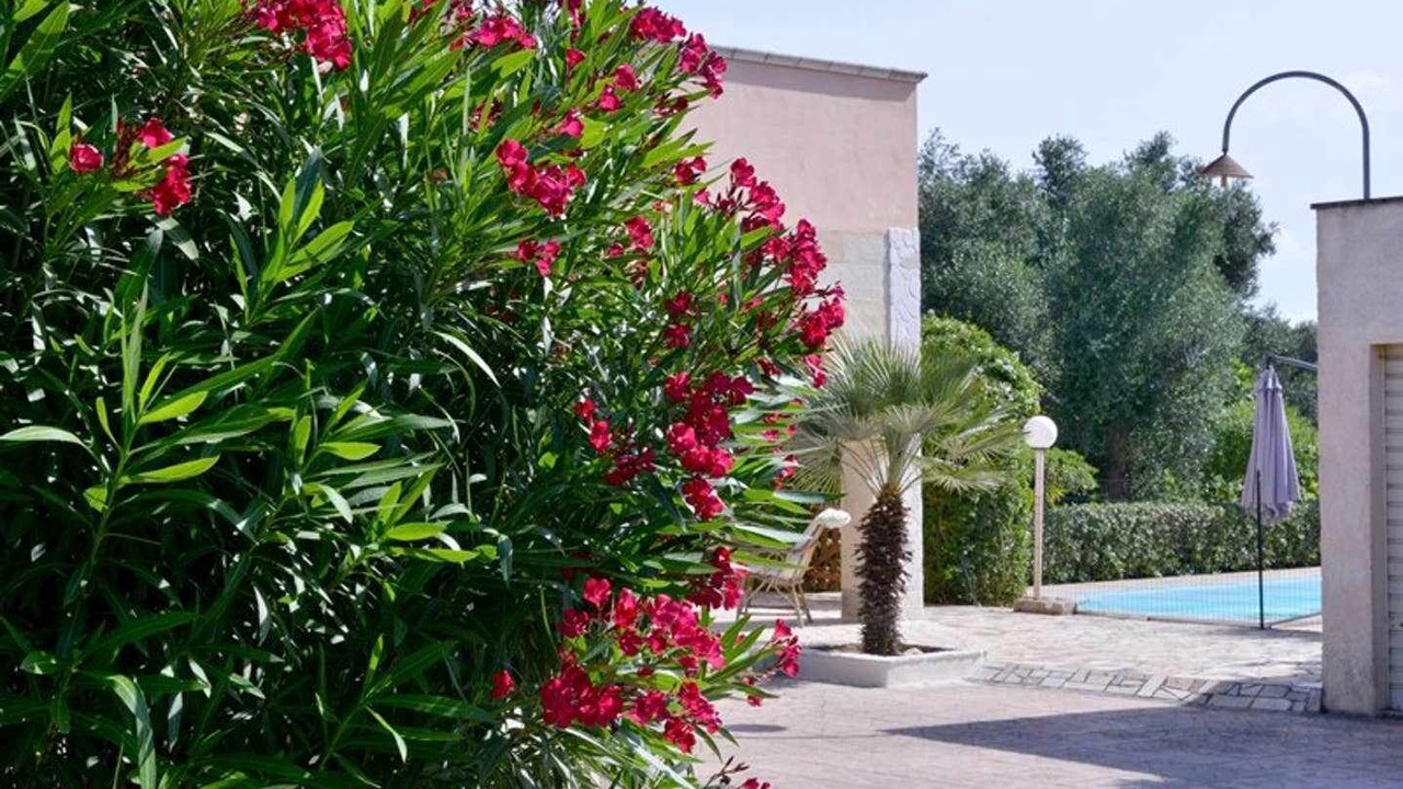 Photo of Outdoor in San Vito dei Normanni