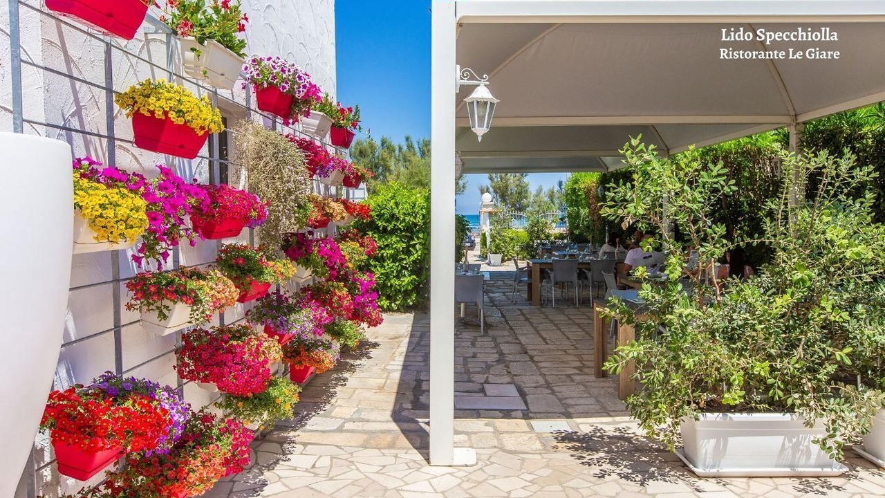 Photo of Outdoor in Specchiolla