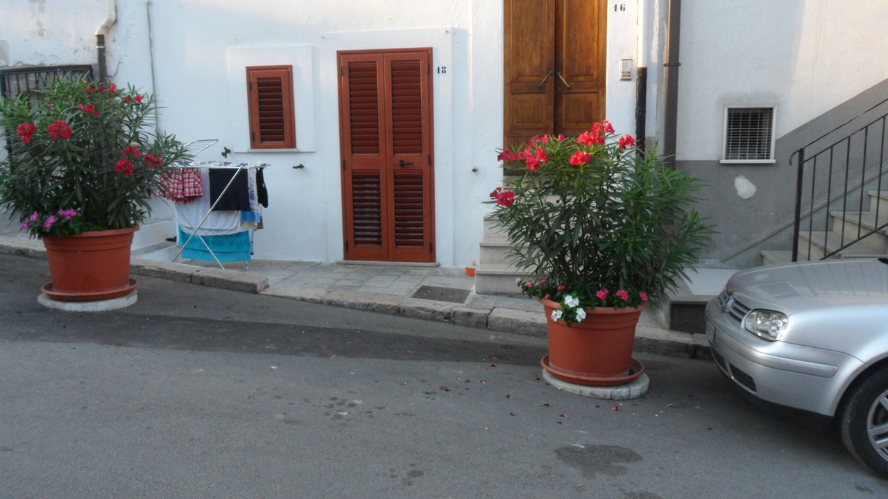 Photo of Outdoor in Peschici