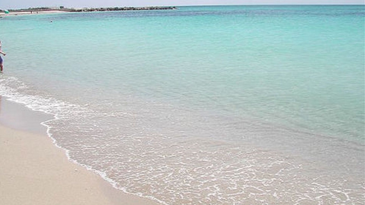 Photo of Others in Torre San Giovanni