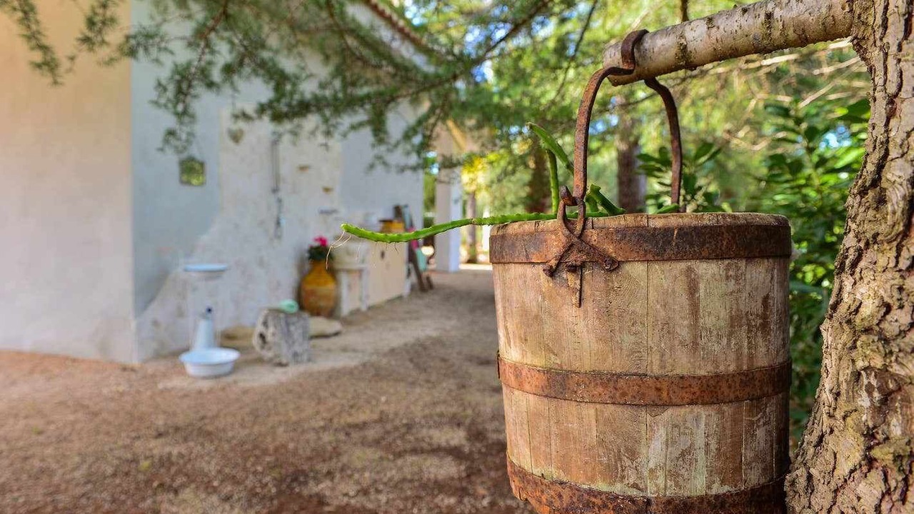 Photo of Outdoor in San Vito dei Normanni