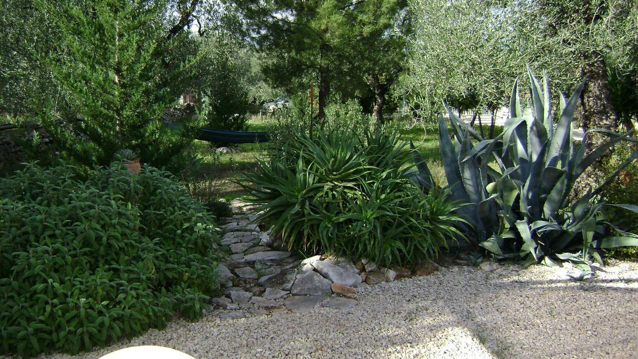 Photo of Outdoor in Trani
