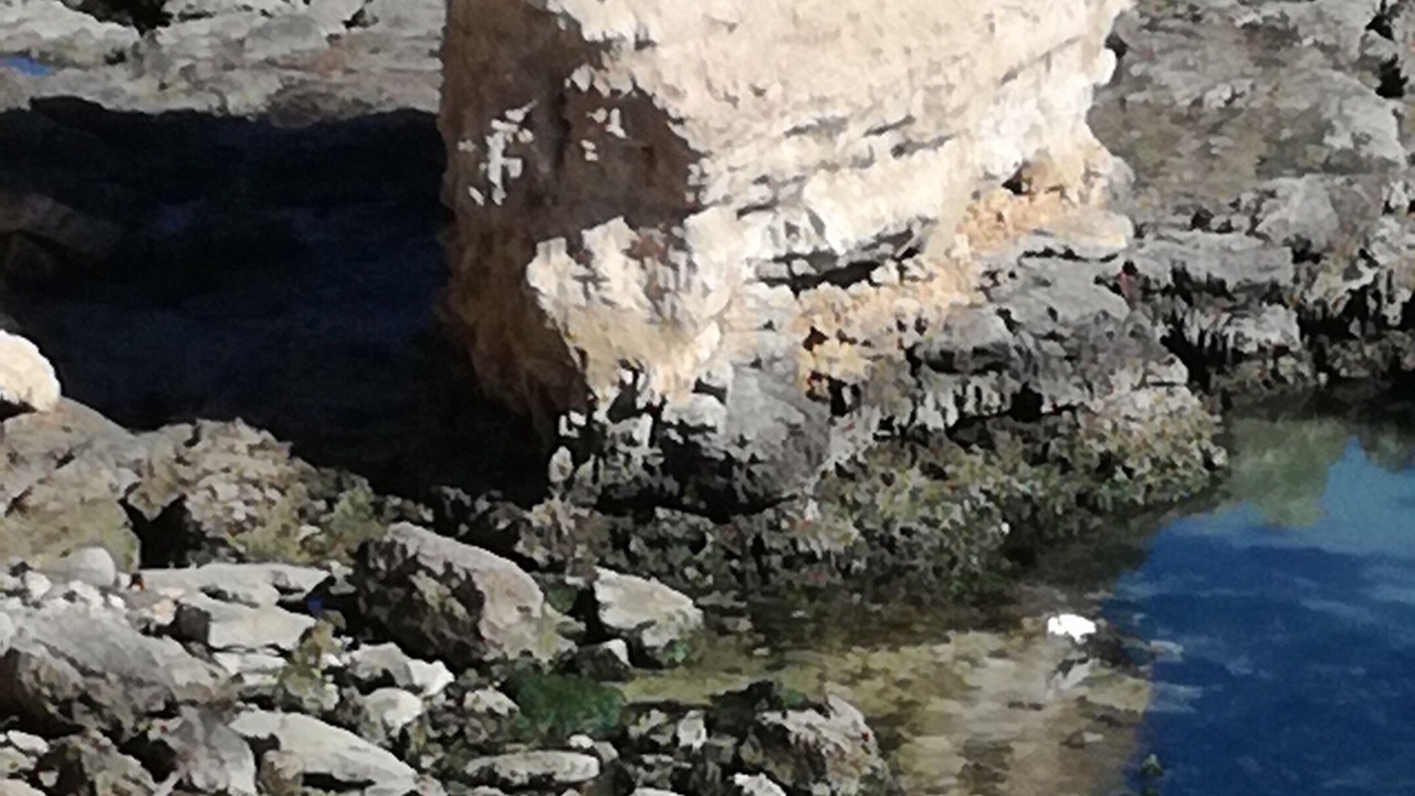 Photo of Others in Trani