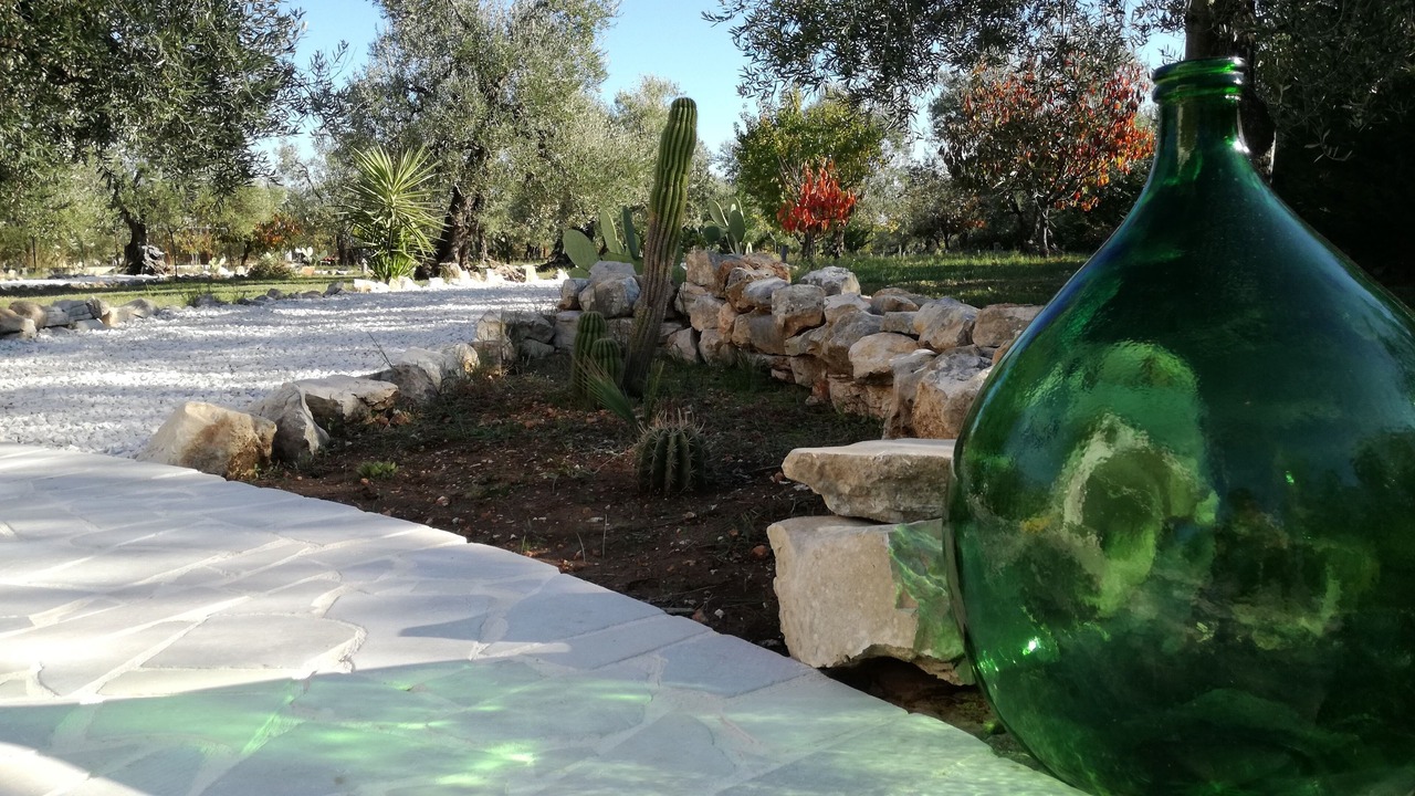 Photo of Outdoor in Trani