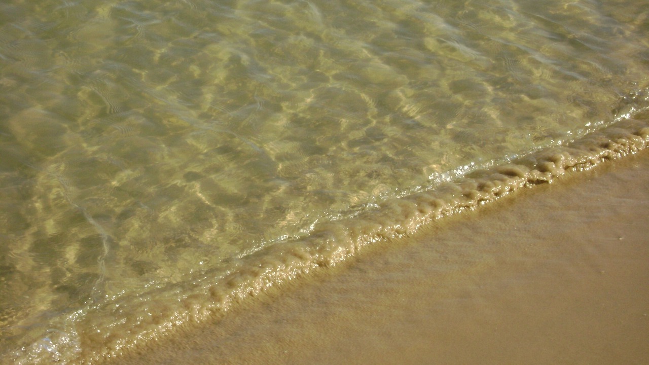 Photo of Others in Trani