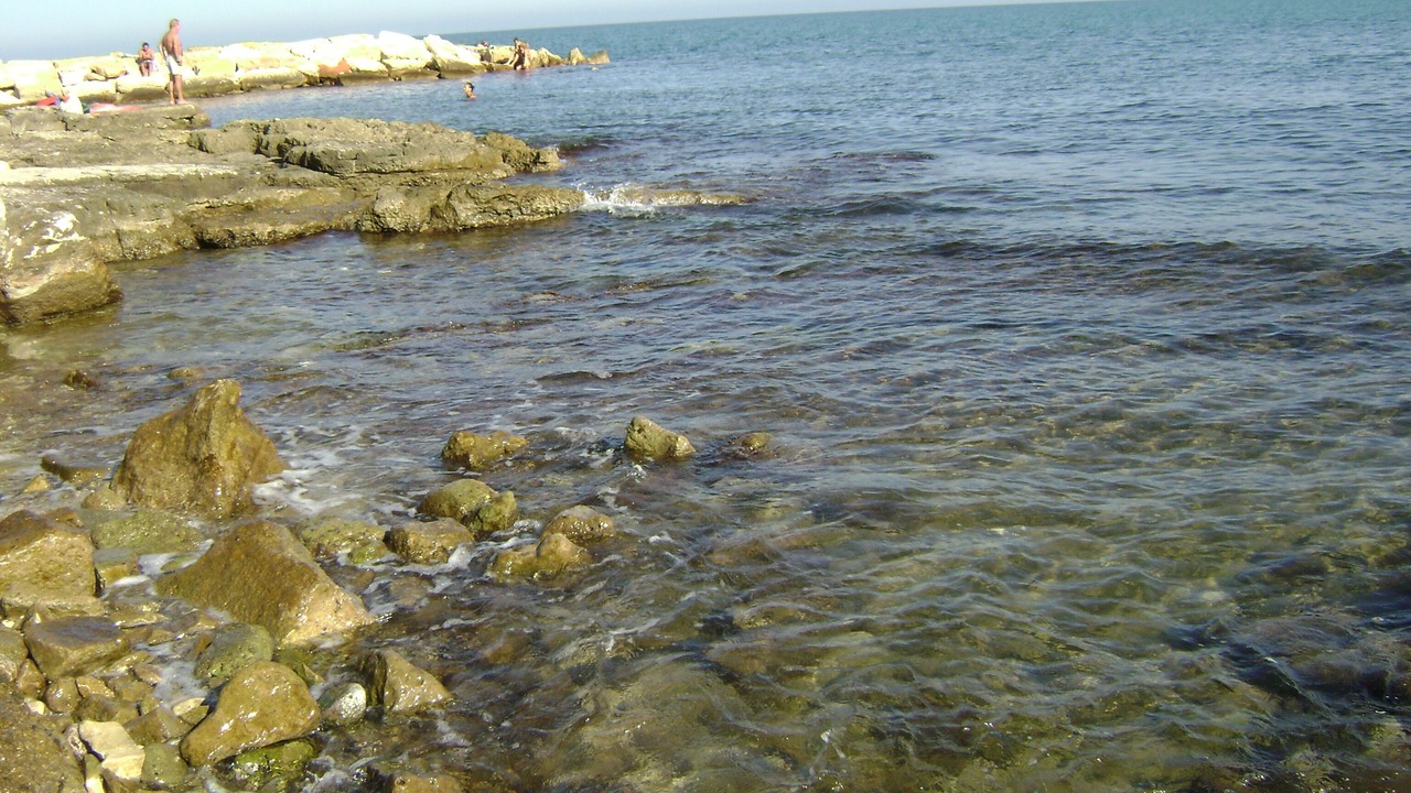 Photo of Others in Trani