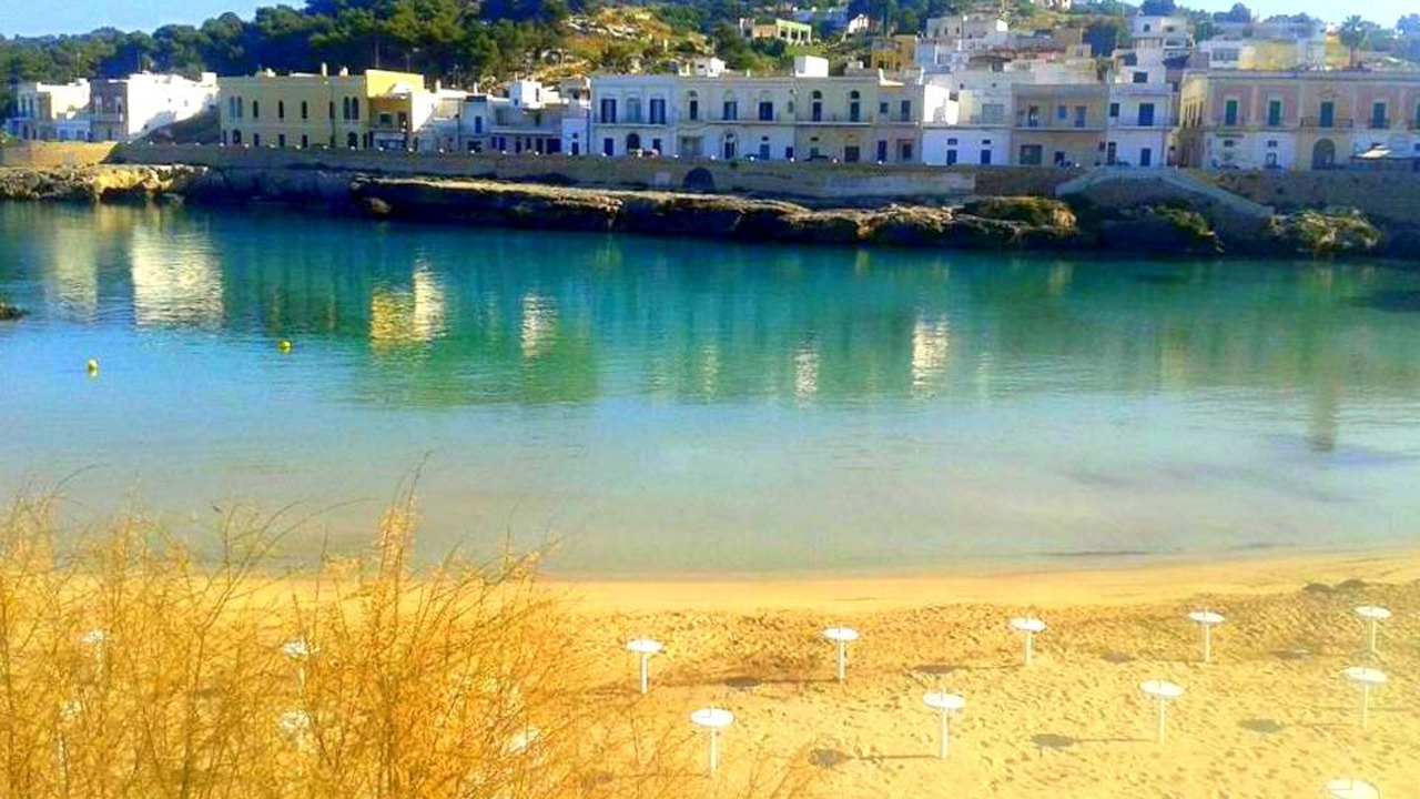 Photo of Others in Nardo