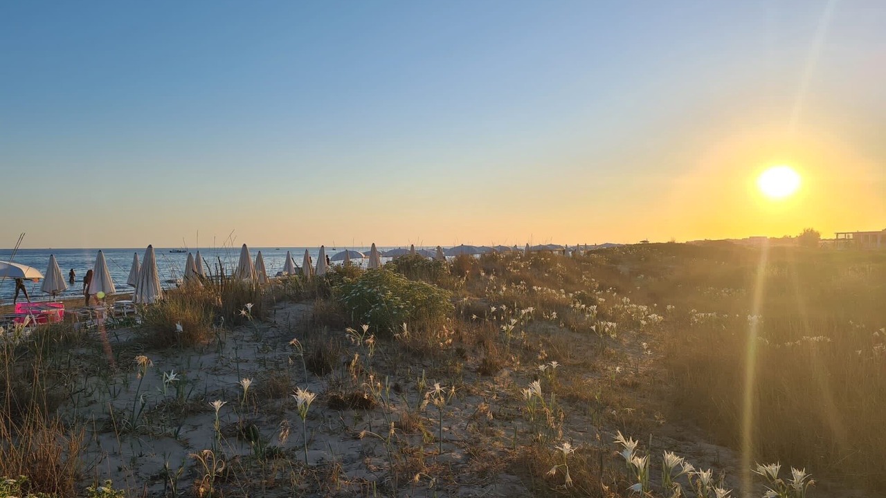 Photo of Others in Gagliano del Capo