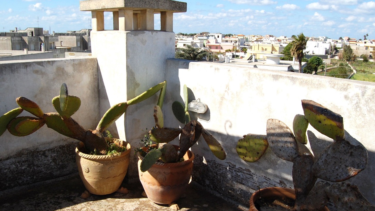 Photo of Others in Gagliano del Capo