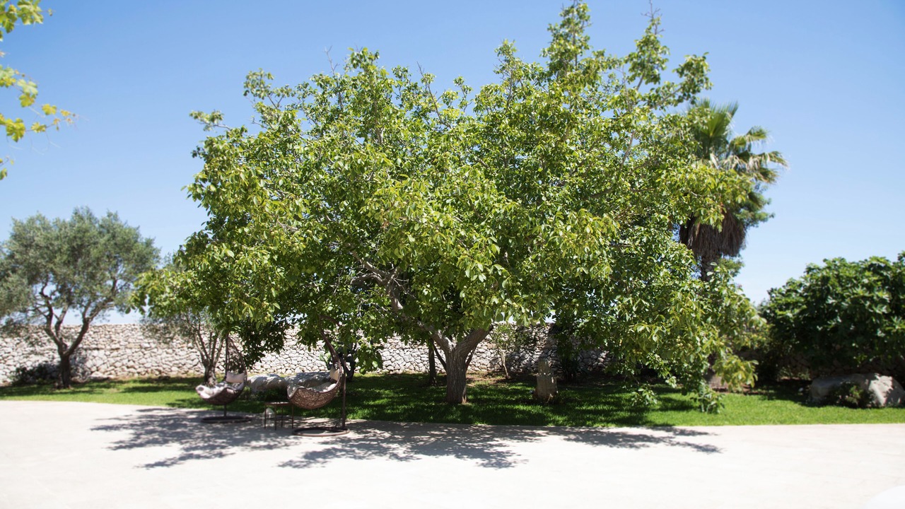 Photo of Outdoor in Martano