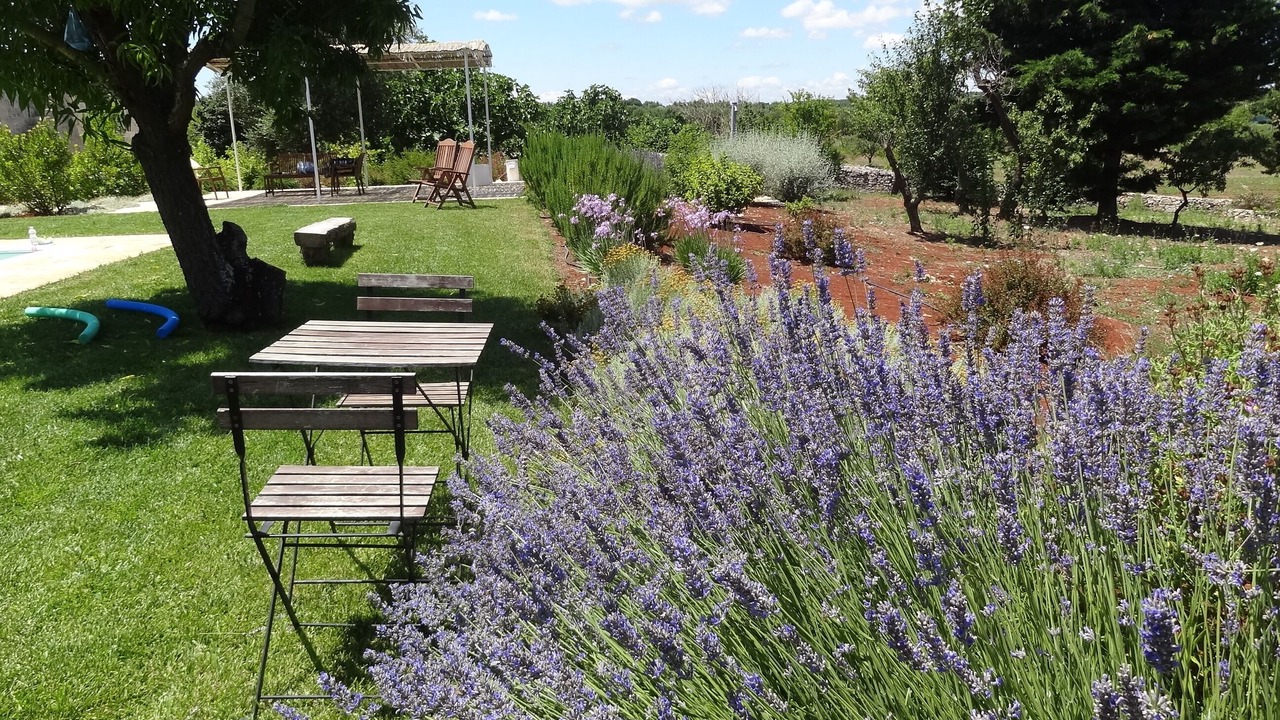 Photo of Outdoor in Ceglie Messapica