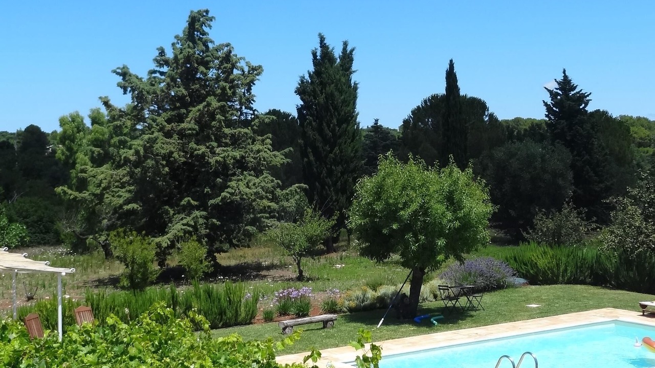 Photo of Outdoor in Ceglie Messapica