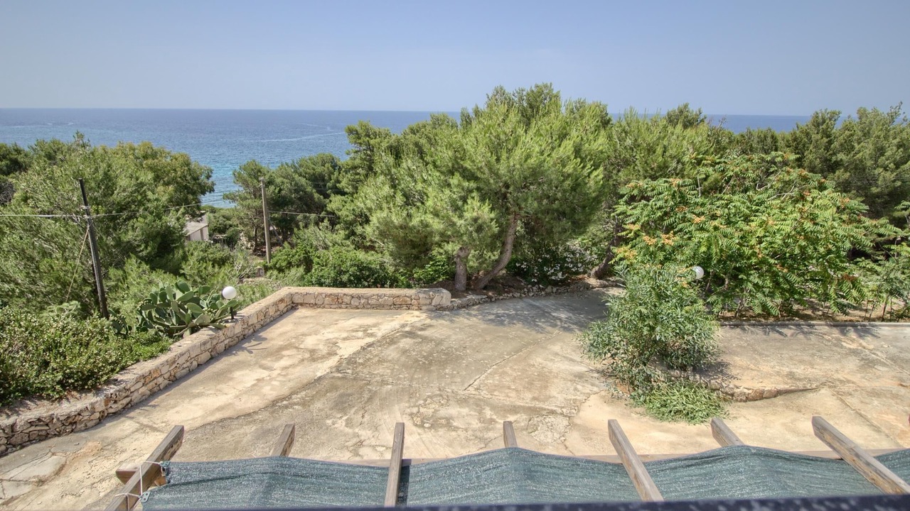Photo of Outdoor in Patu