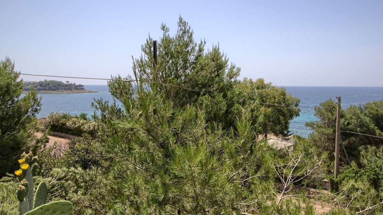 Photo of Others in Marina San Gregorio