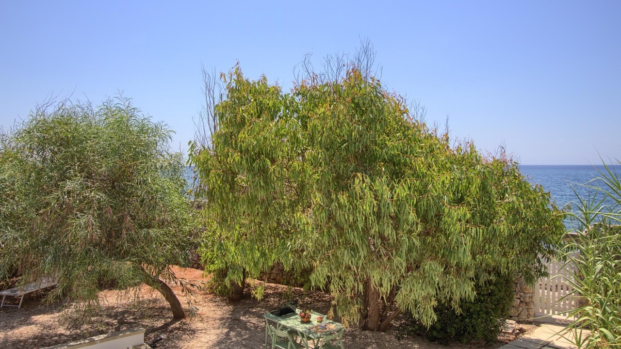 Photo of Patio Balcony in Torre Vado