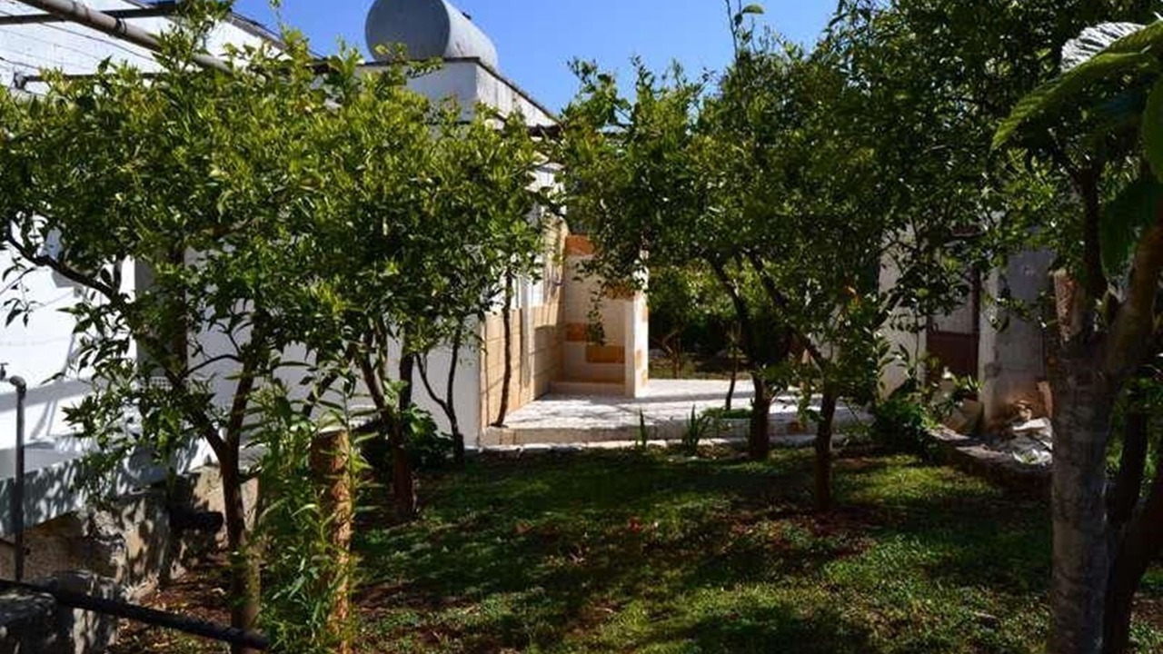 Photo of Outdoor in Carovigno