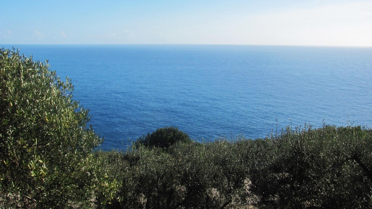 Photo of Others in Gagliano del Capo