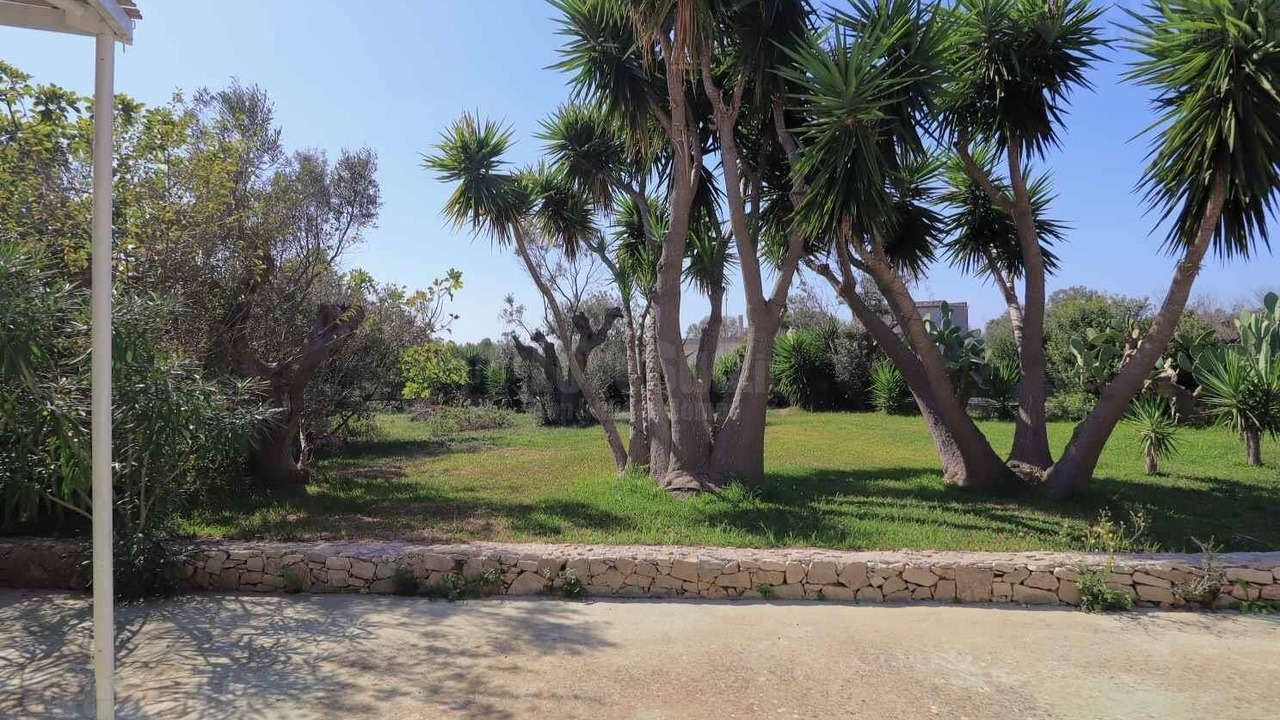 Photo of Outdoor in Marina di Pescoluse