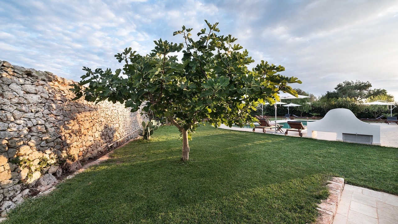 Photo of Outdoor in Ceglie Messapica