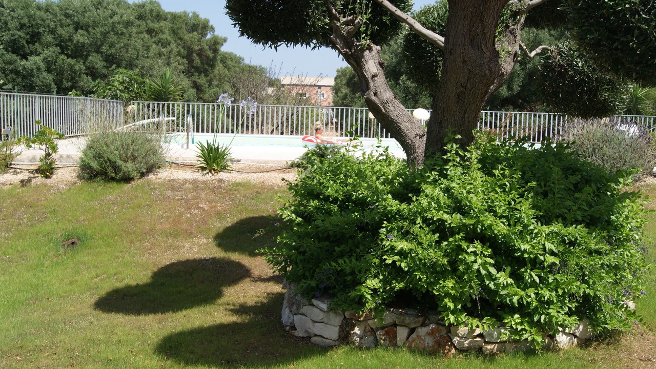 Photo of Outdoor in Carovigno