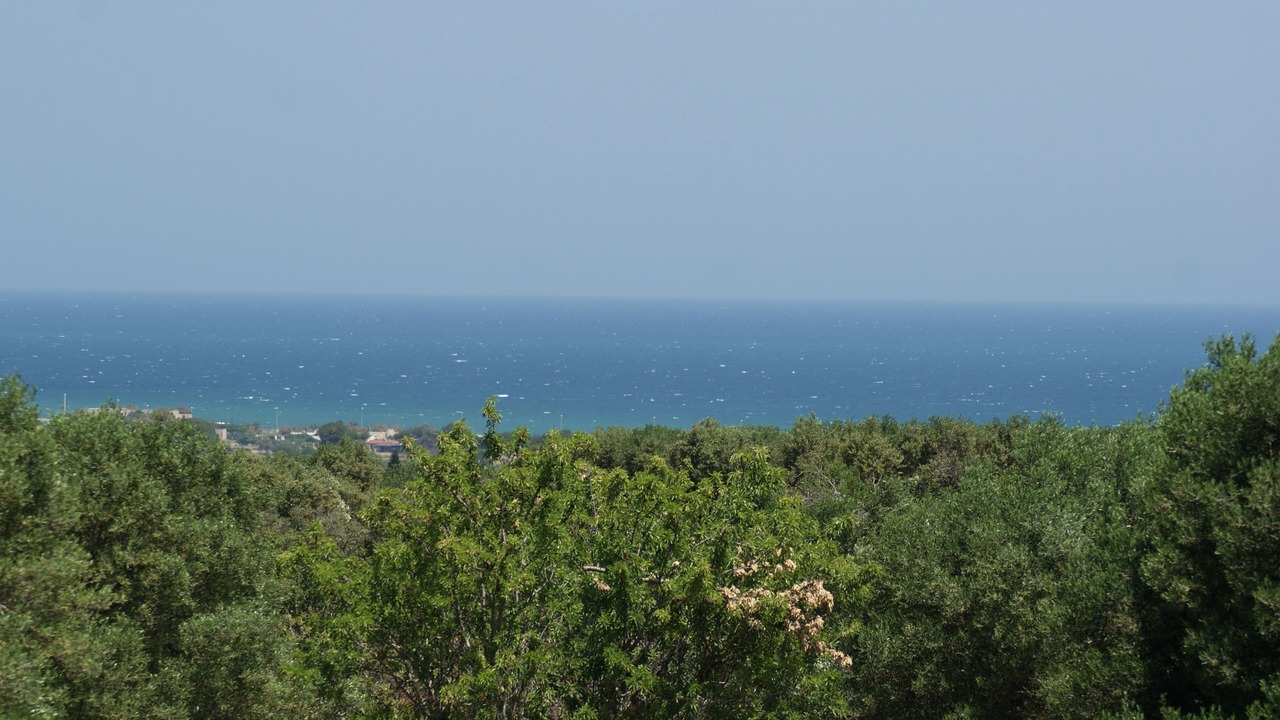 Photo of Outdoor in Carovigno