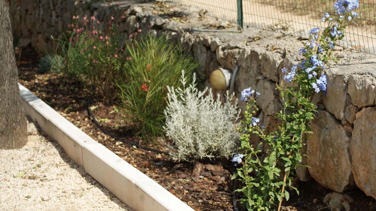 Photo of Outdoor in Carovigno
