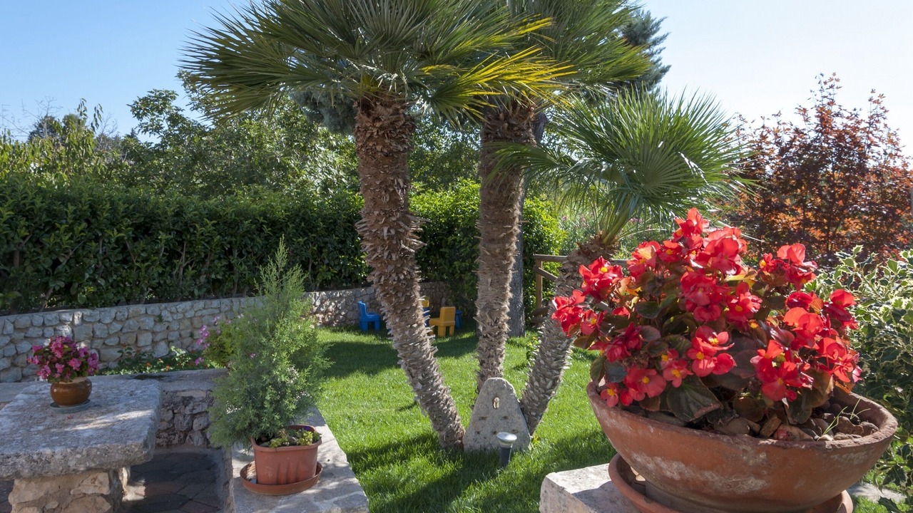 Photo of Outdoor in Castellana Grotte