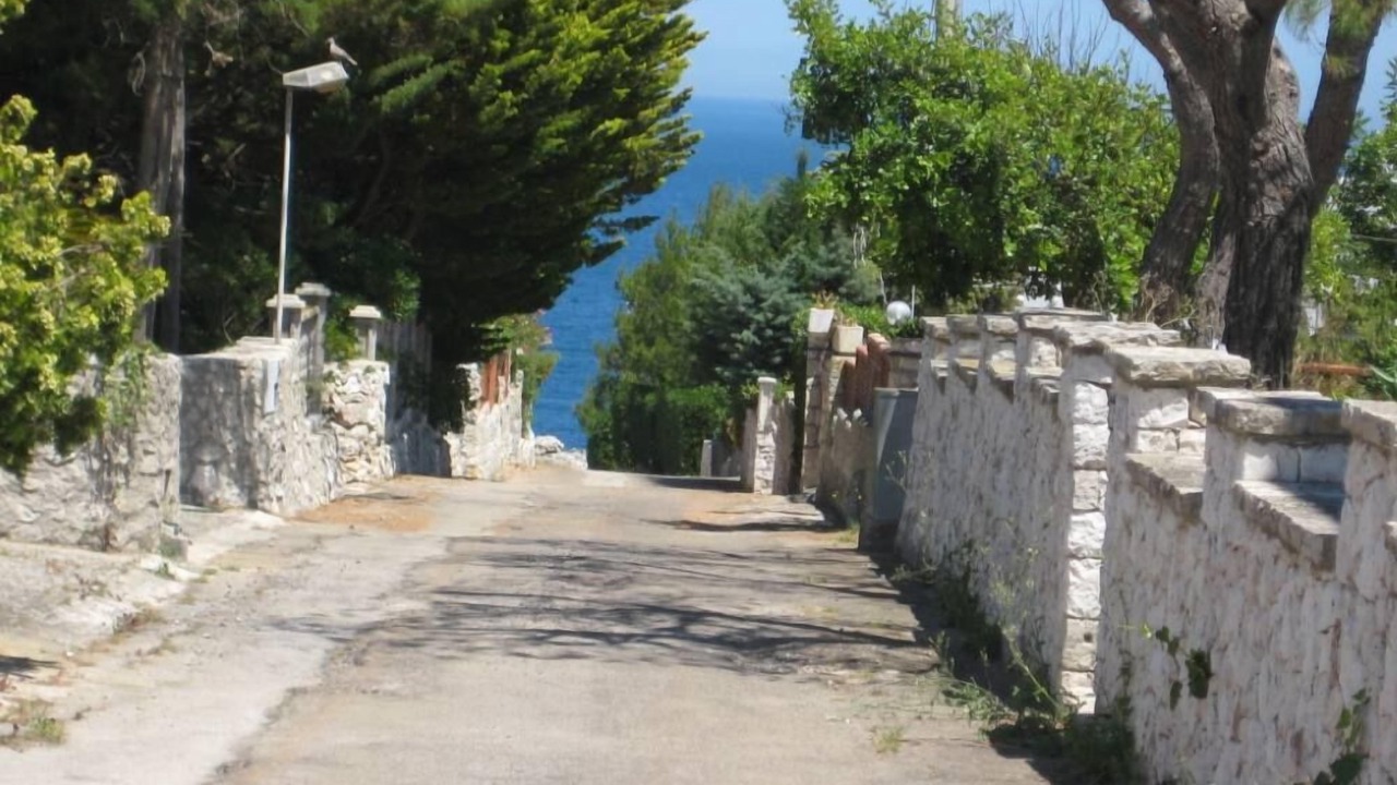 Photo of Outdoor in Fraula