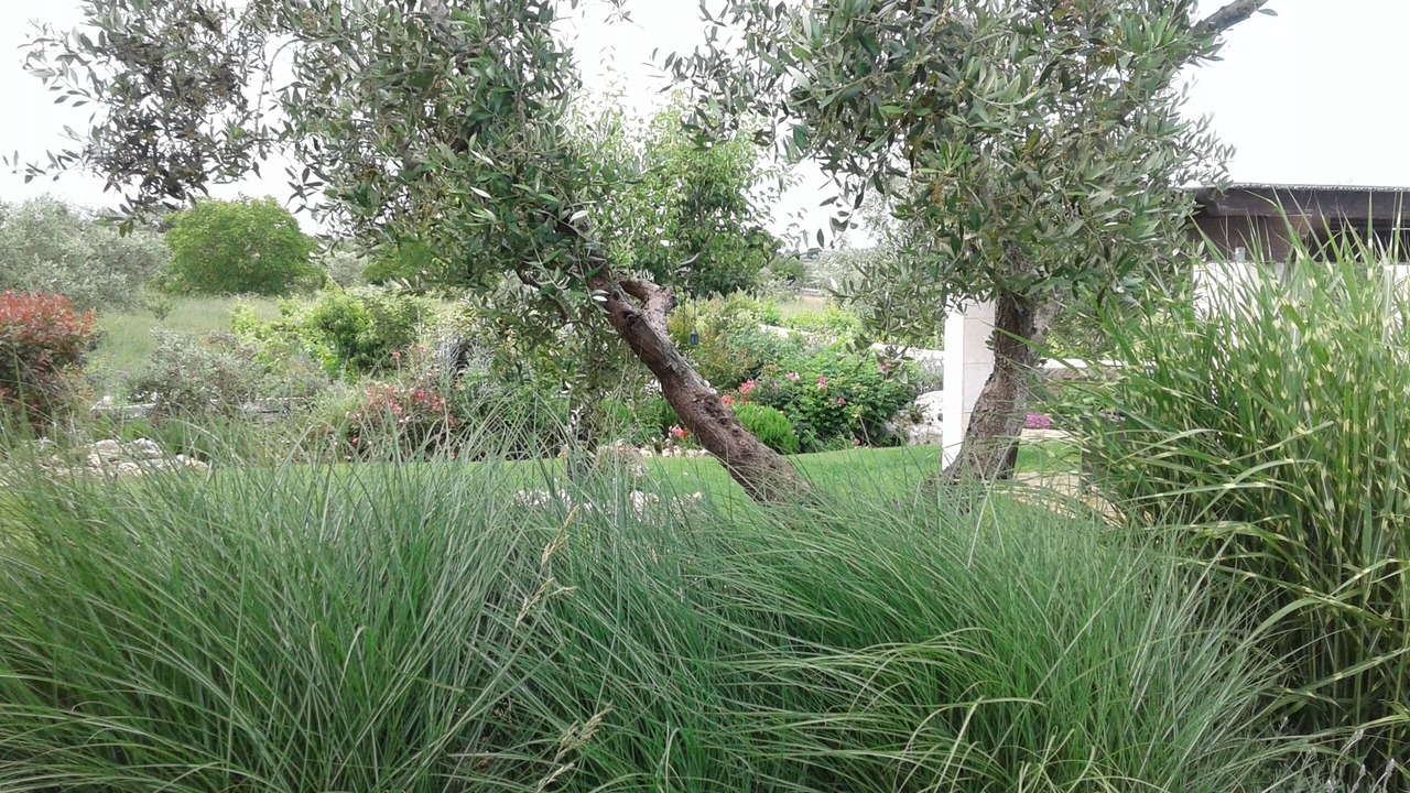 Photo of Outdoor in Locorotondo