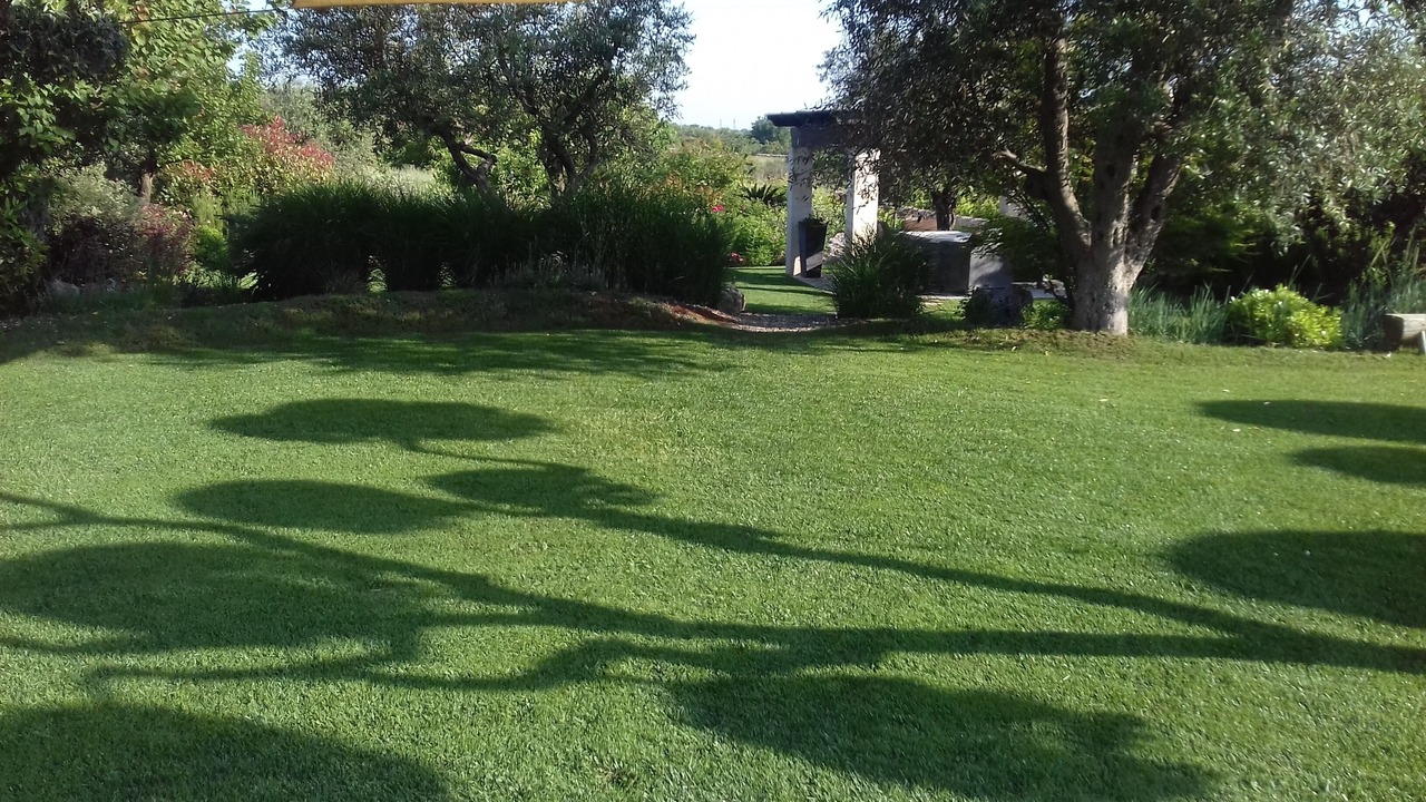 Photo of Outdoor in Locorotondo