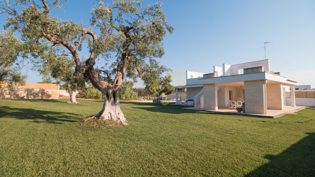 Photo of Outdoor in Cozzana