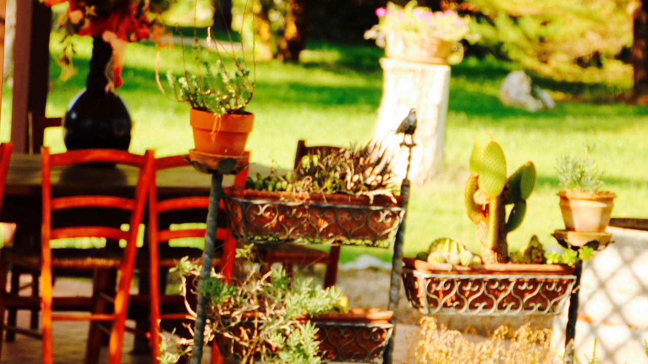 Photo of Outdoor in Maglie