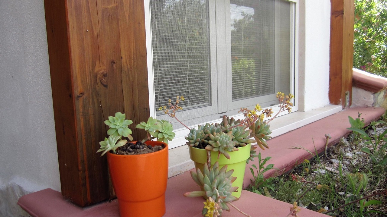Photo of Outdoor in Mattinata